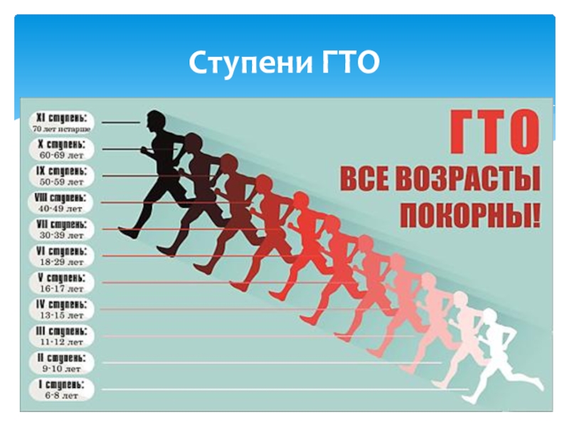 Проект готов к труду и обороне