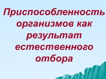 Приспособленность организмов