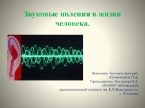 Презентация по физике на тему Звуковые явления в жизни человека (11 класс)