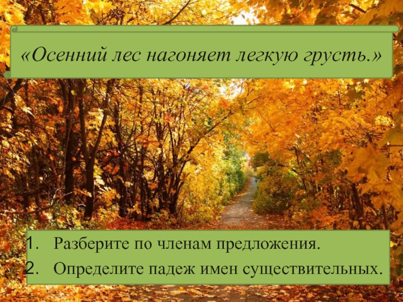 Осень существительное. Осенних листьев определение в предложении. Осенний лес нагоняет легкую грусть разбор предложения по членам. Осенние существительные.