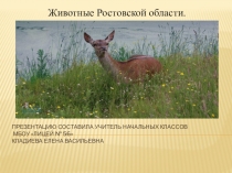 : Животные Ростовской области.