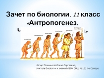 Презентация по биологии на тему Антропогенез. Человеческие расы. 11 класс