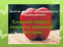 Презентация для занятия кружка по овощеводству Выращивание перца
