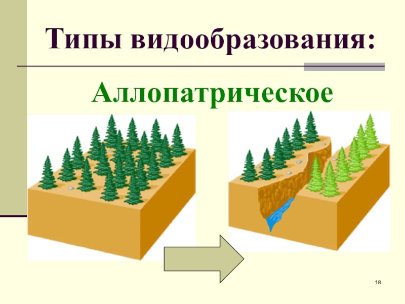 Схема аллопатрического видообразования