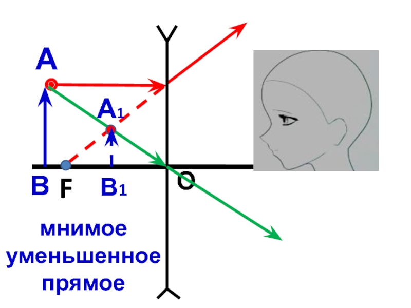 Прямое уменьшенное изображение