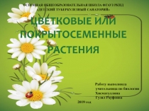 Презентация по биологии на тему Цветковые или покрытосеменные растения 6 класс