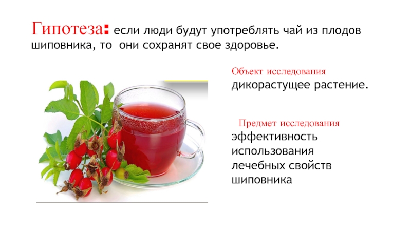 Можно при температуре пить чай с малиной