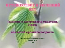 Презентация Путешествие в весенний лес
