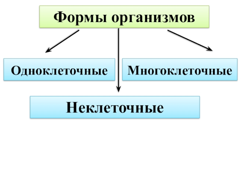 Одноклеточные и многоклеточные организмы 5 класс презентация