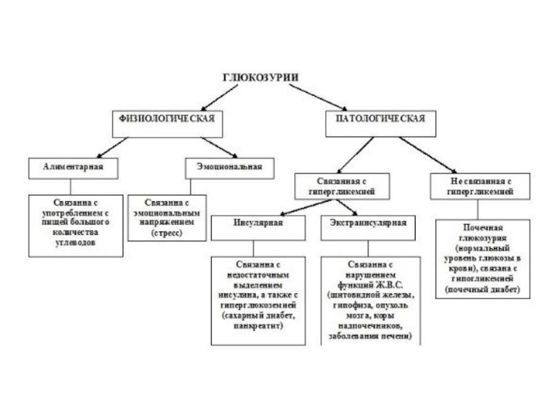 Глюкозурия. Причины и механизмы развития глюкозурии. Глюкозурия виды причины возникновения последствия биохимия. Причины развития глюкозурии. Глюкозурия почечная механизмы развития.