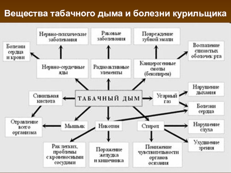 Влияние табачного дыма на рост организма презентация