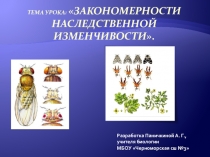 Разработка урока Закономерности наследственной изменчивости