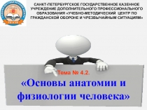 Анатомия и физиология человека.