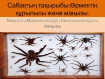 Өрмекшілер (лат. Araneae, лат. Aranei, көне грекше: ἀράχνη) — буынаяқтылардың түрлер санынан екінші орын алатын отряды, қазіргі таңда 42 мыңдай түрлері және 1,1 мыңға жуық жойылып кеткен, қазбалардан табылған өрмекшілер белгілі.