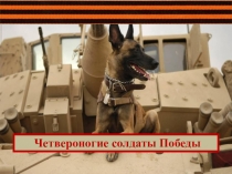 Презентация Четвероногие солдаты Победы