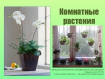 Презентация по биологии на тему Комнатные растения
