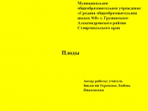 Презентация по биологииПлоды. КЛАССИФИКАЦИЯ ПЛОДОВ