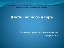 Презентация по растениеводству на тему Цветы нашего двора