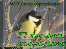 Презентация проекта по птицам