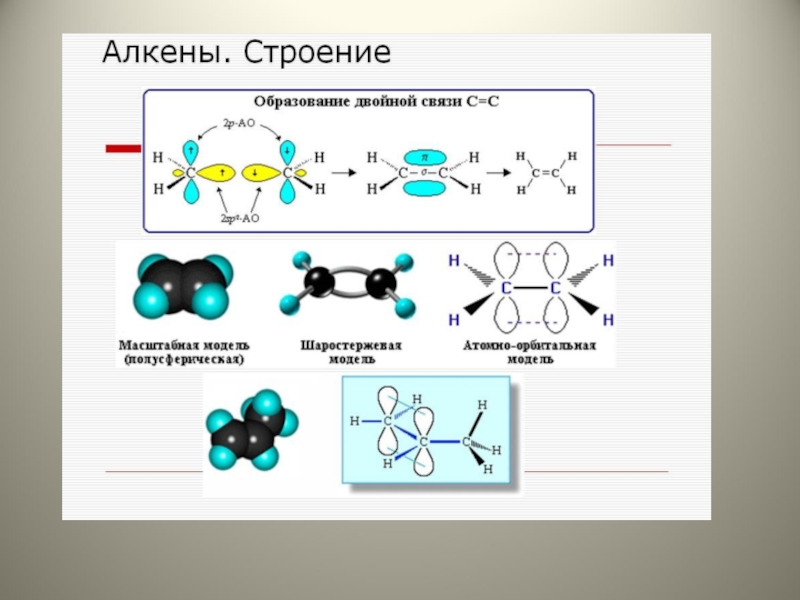 Презентация на тему алкены