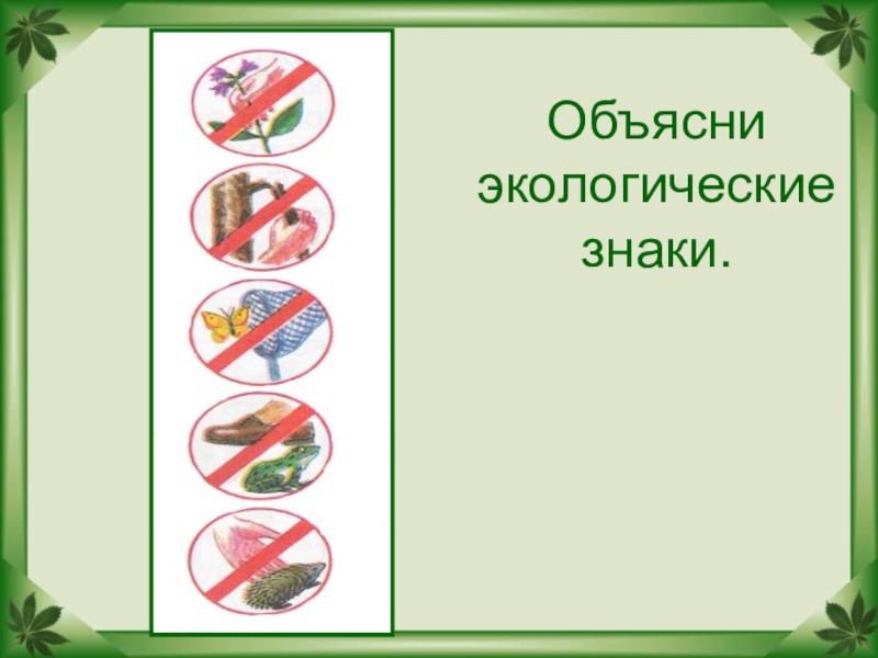 Будь природе другом презентация для дошкольников