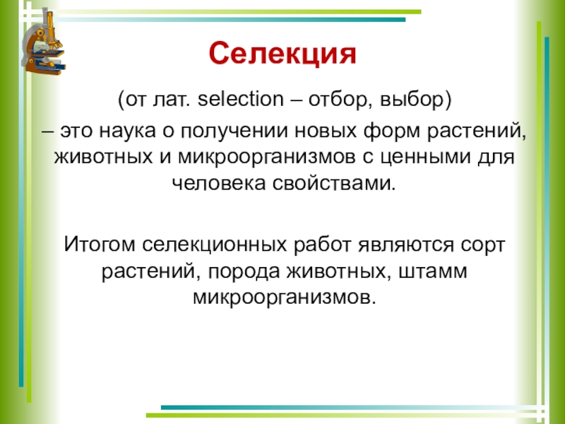 Презентация по биологии 9 класс селекция