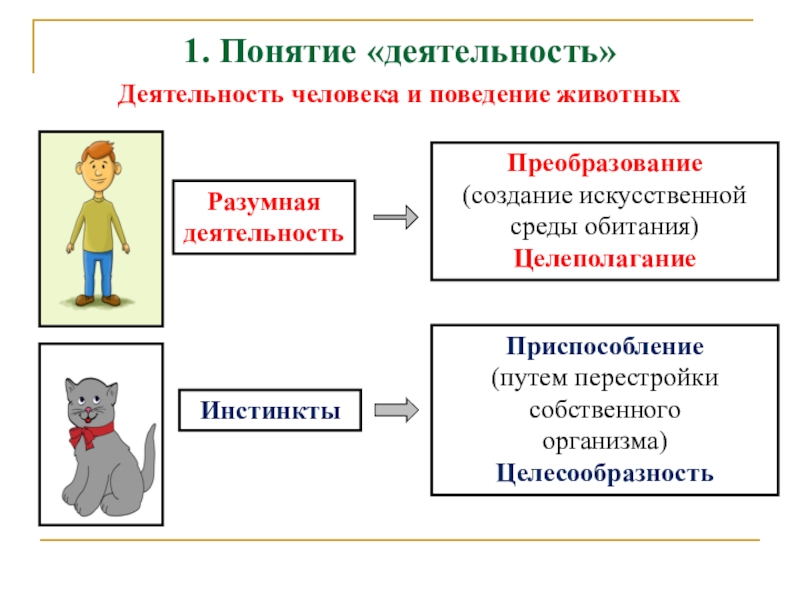 Презентация по теме личность