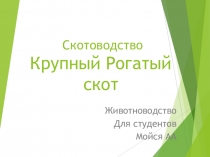 Животноводство КРС