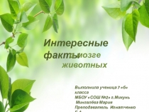 Презентация по биологии на тему Интересные факты о головном мозге