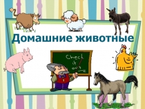 Презентация по русскому языку на тему Домашние животные