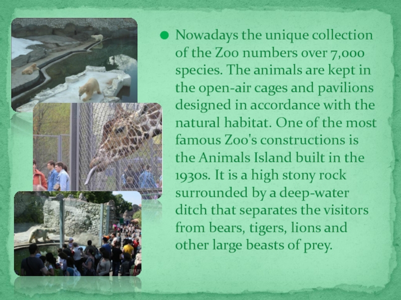 Nowadays the unique collection of the Zoo numbers over 7,000 species. The animals are kept in the