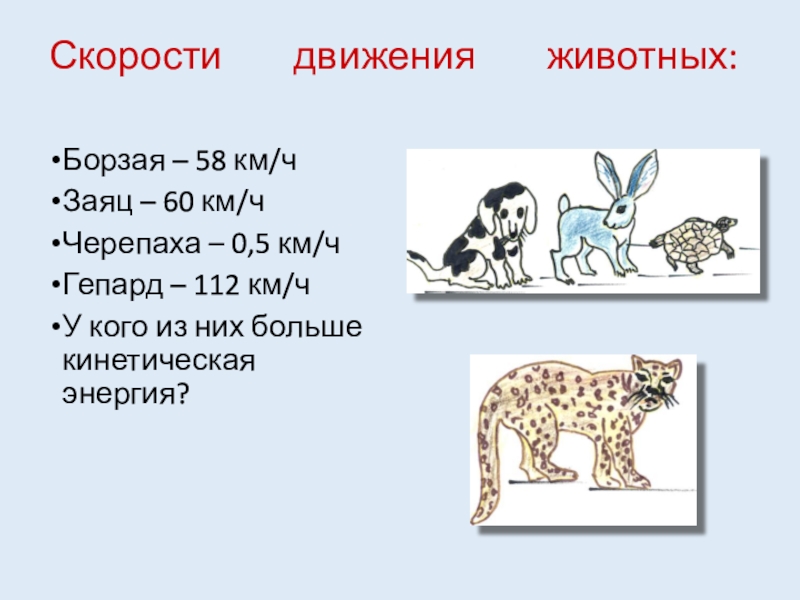 Скорости разных. Скорость движения животных таблица. Скорость передвижения животных. Скорость передвижения животных таблица. Таблица скоростей животных и человека.