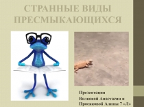 Презентация по биологии на тему: Странные виды пресмыкающихся (7 класс)