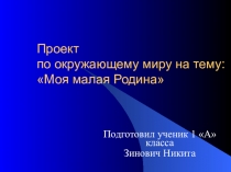 Проект Моя малая Родина