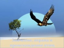 Презентация по биологии на тему Значение, охрана и происхождение птиц