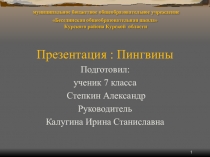 Презентация: Всё о пингвинах