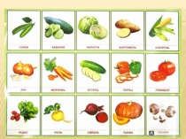 Презентация по ОП.02 Основы товароведения продовольственных товаров на тему Капустные овощи