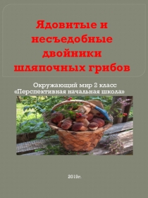 Урок по окружающему миру Грибы 2 класс ПНШ