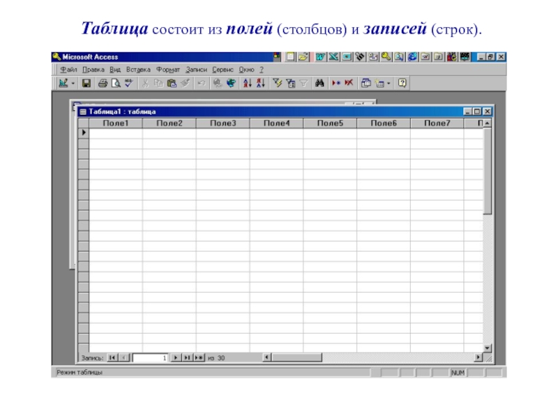 Поля столбцов. Строка запись столбец поле. Поля и записи в access. Таблица состоит. Поля и Столбцы в access.