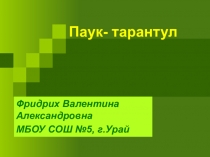 Презентация по окружающему миру Паук тарантул