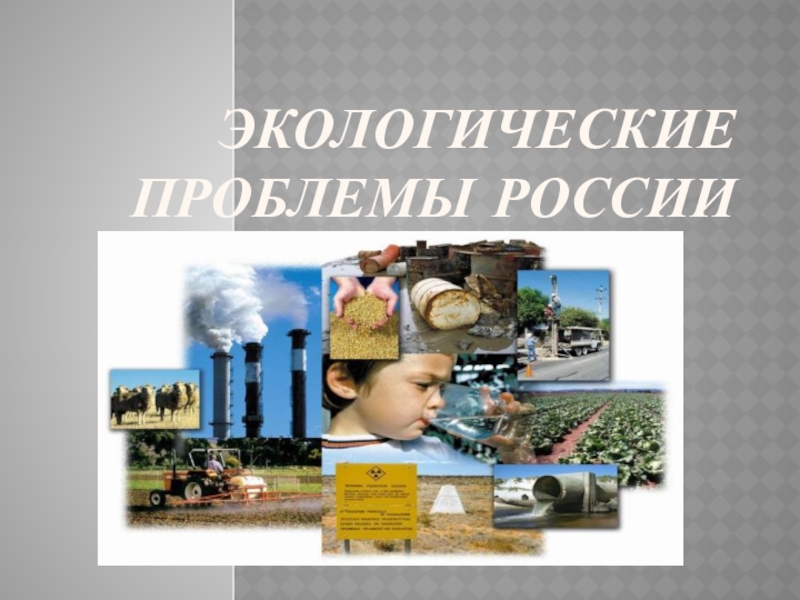 Презентация Презентация по окружающему миру Экологические проблемы России.
