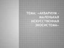 Презентация по окружающему миру на тему: Аквариум – маленькая искусственная экосистема