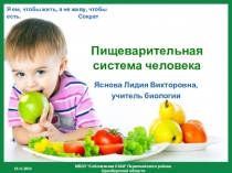 Презентация по биологии Пищеварительная система человека