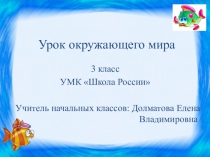 Презентация по окружающему миру на тему Кто что ест. Цепи питания (3 класс)