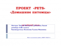 Презентация по английскому языку : проект Домашние питомцы