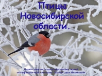 Презентация по окружающему миру для детей 6 лет Зимующие птицы Новосибирской области дошкольники
