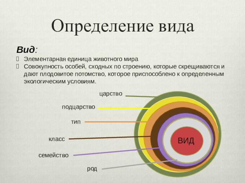 Биологический вид. Вид определение биология. Понятие биологического вида. Вид это в биологии. Виды определений.