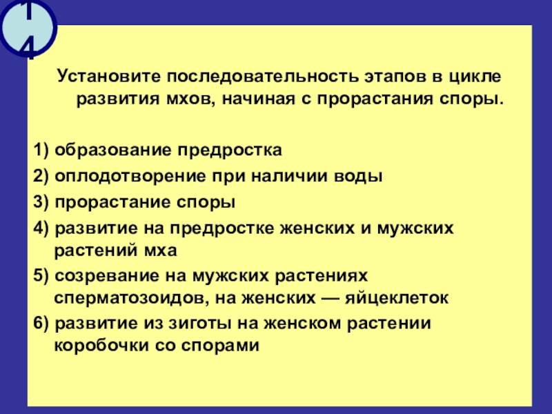 Установите последовательность этапов цикла