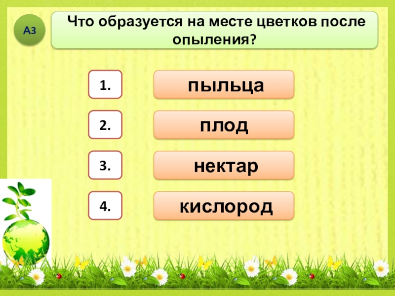 Тест размножение и развитие растений 3. Что образуется на месте цветка. Что образуется после цветка. Что образуется на месте цветка когда он отцветает 1 класс.