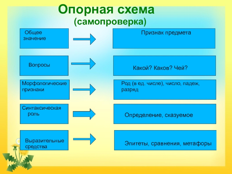 Схема имя прилагательное 5 класс